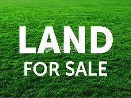 Valuable land for sale in Colombo city.