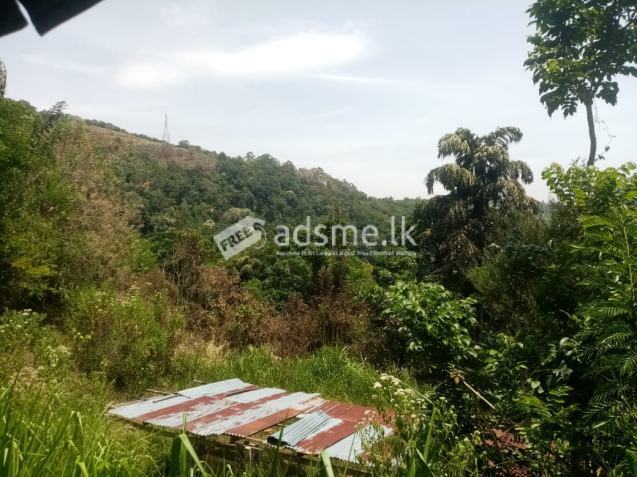 Valuable Investment form Badulla