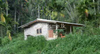 Valuable Investment form Badulla