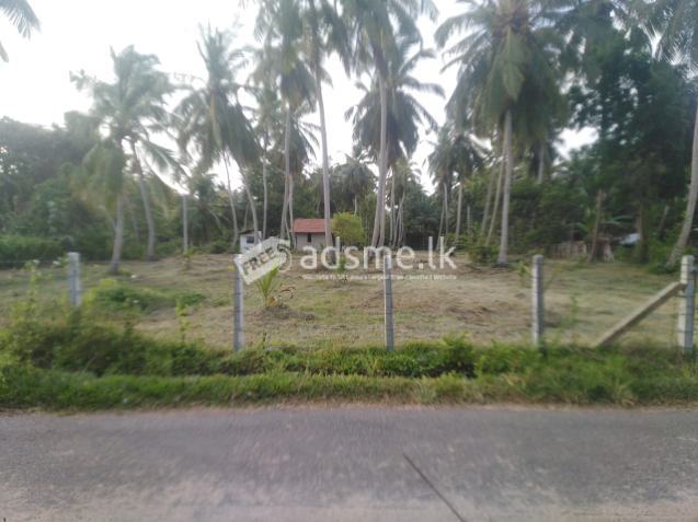 Land for sale in marawilla