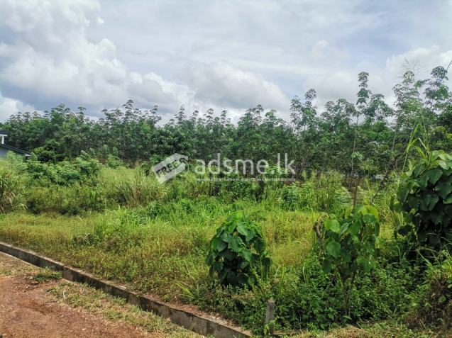 Selling my land property in Poragedara, Padukka
