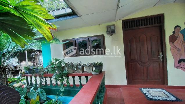 2 Bedroom house for rent in Haliela for Rs. 18,000 (Per Month)