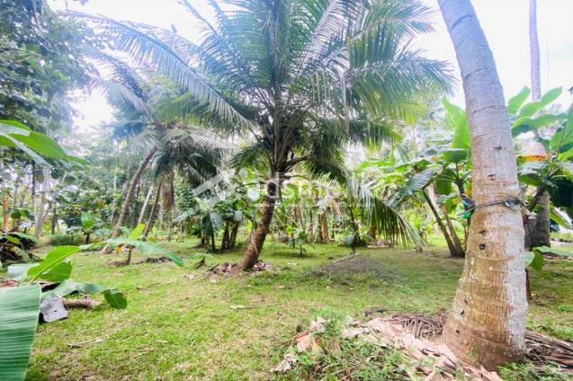 92 Perches Land with House for Sale at Naththandiya.