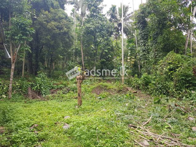 100P Land for Sale in Hulangamuwa Matale