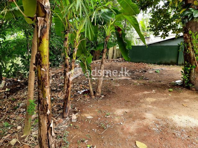 Land For Sale In Nawala.
