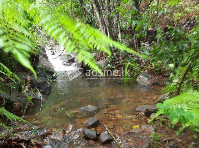 Bulathkohupitiya 5 Acres of Beautiful Landscaped Land with beautiful waterfalls for Sale.