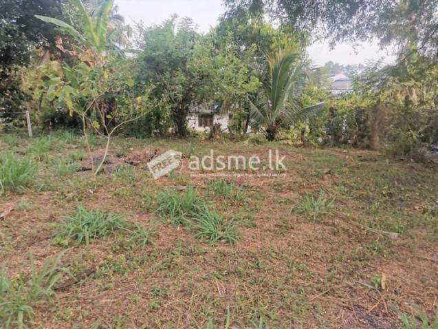 37 Perches of Valuable Land for Sale in Ranawiru mw, Kadawatha.