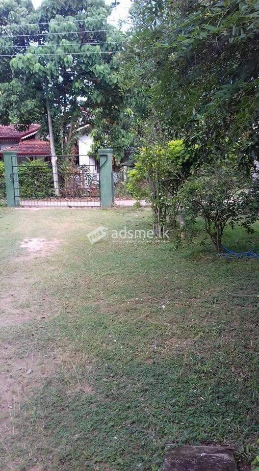 Land & Home for sell in katunayake