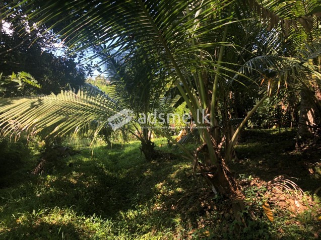 Residential Land for Sale - Kegalle