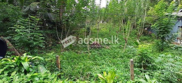 Land for sale in Hapugala