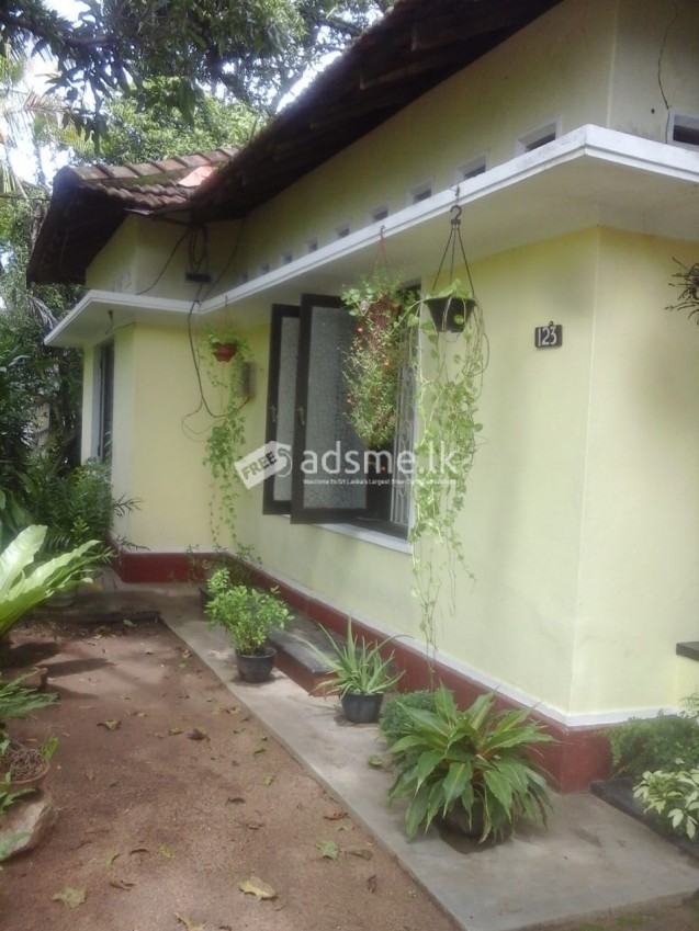 Land with house for sale in Kurunegala - Mallawapitiya