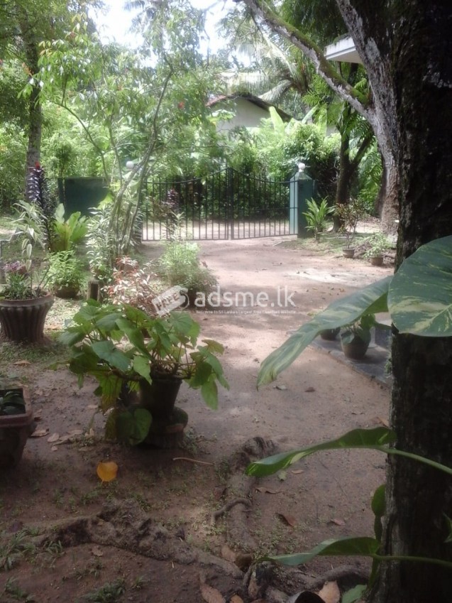 Land with house for sale in Kurunegala - Mallawapitiya