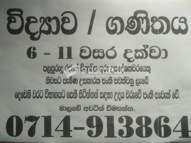 teacher instructor maths and science