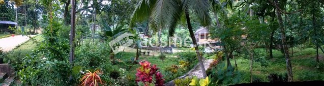 Land For Sale - Dehiowita Town Area