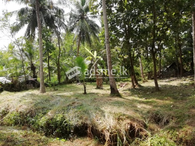 Land for Sale in Heart of Anuradhapura