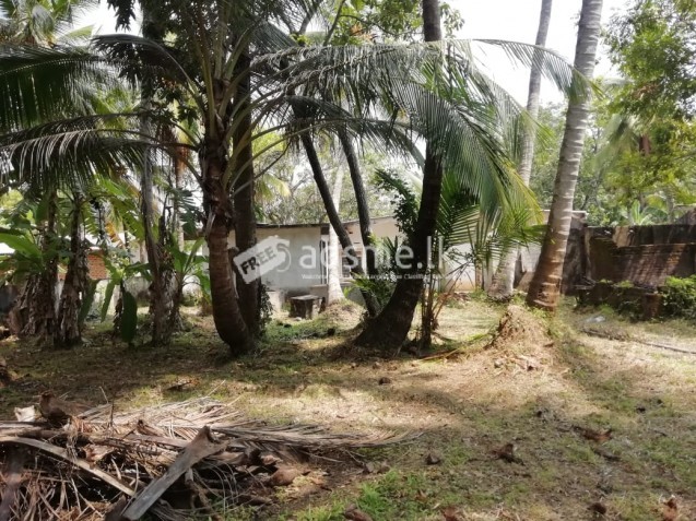 Land for Sale in Heart of Anuradhapura