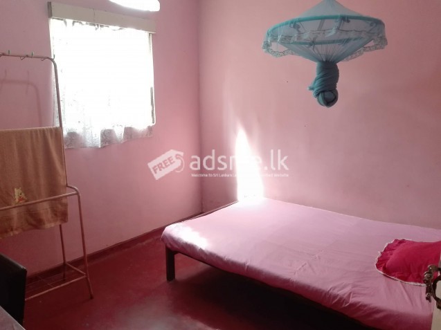 Room for Rent in Seeduwa