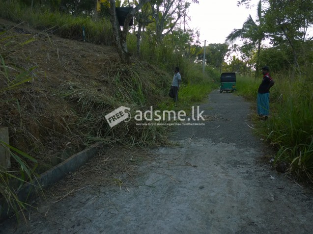 Land for sale in Pilimatalawa Prime Royal Living.