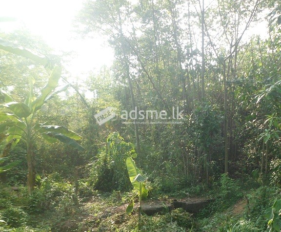 53.8 perches land for sale
