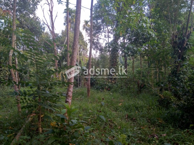 40p Land For Sale In Kandy Pilimathalawa