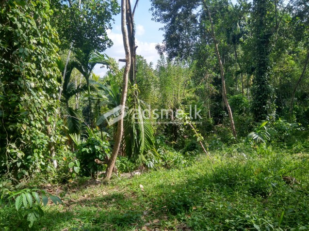 40p Land For Sale In Kandy Pilimathalawa
