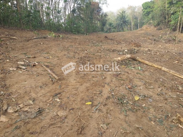 LAND FOR SALE IN MALAGALA PADUKKA 1 ACRE