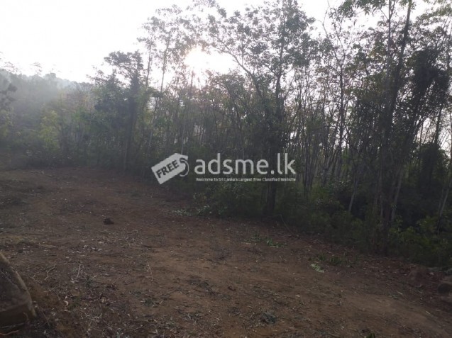 LAND FOR SALE IN MALAGALA PADUKKA 1 ACRE