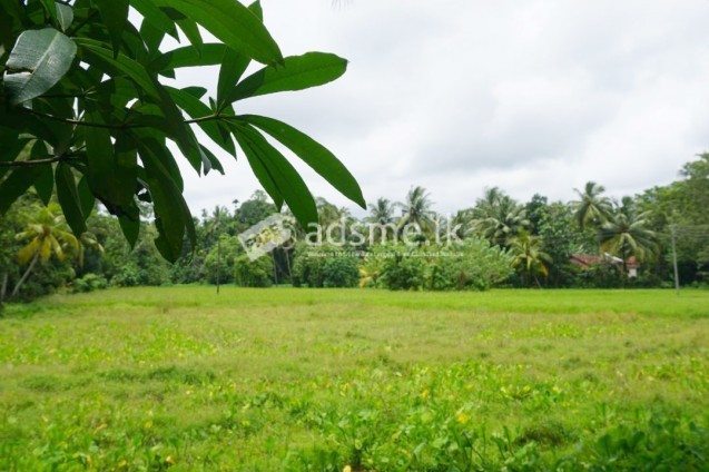 Commercial Land for Sale at Pannipitiya - Colombo