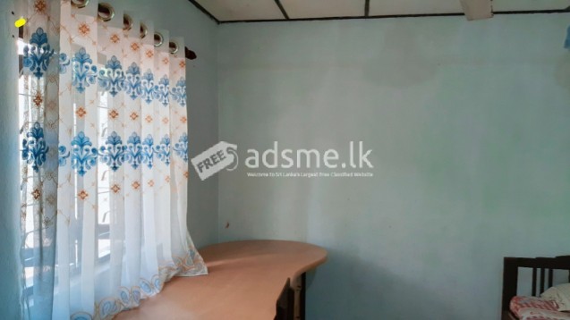 Room rent in Malabe