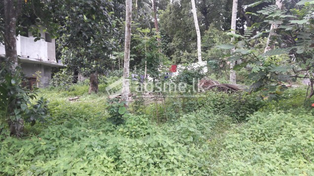 LAND FOR SALE IN MALABE