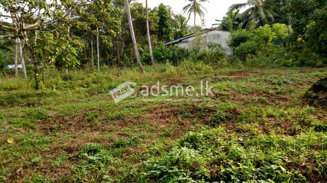 Immediate Land for sale Kadawatha