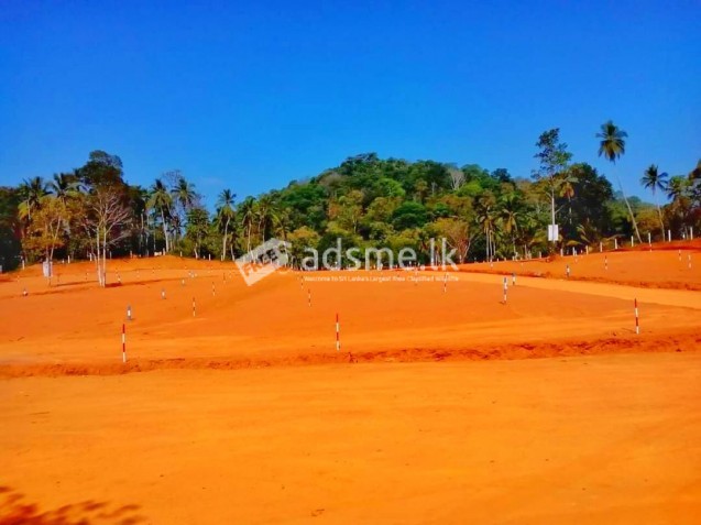 Land for Sale In alawwa