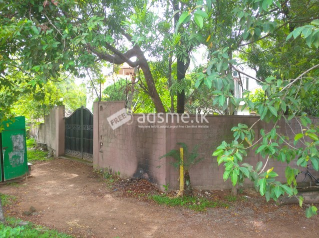 House For Sale at Thalawathugoda