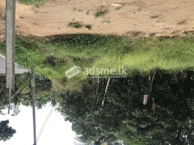 Land for sale