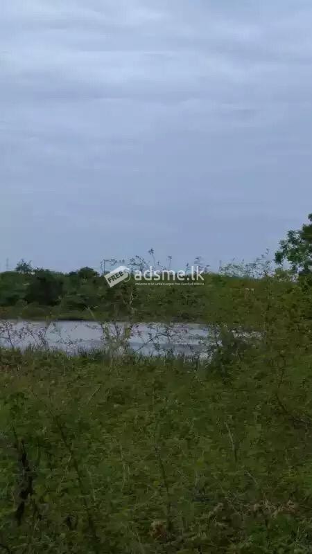 Land for sale Hambantota