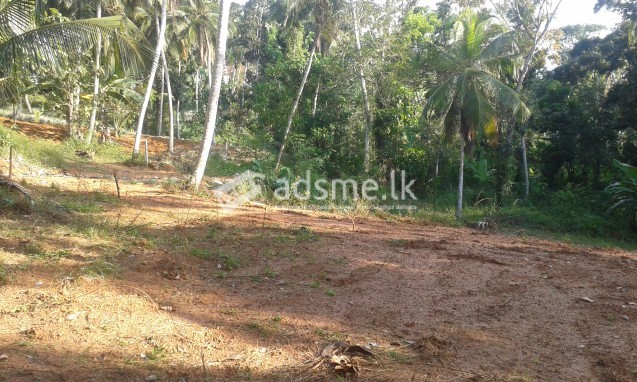 Land for sale Mirigama
