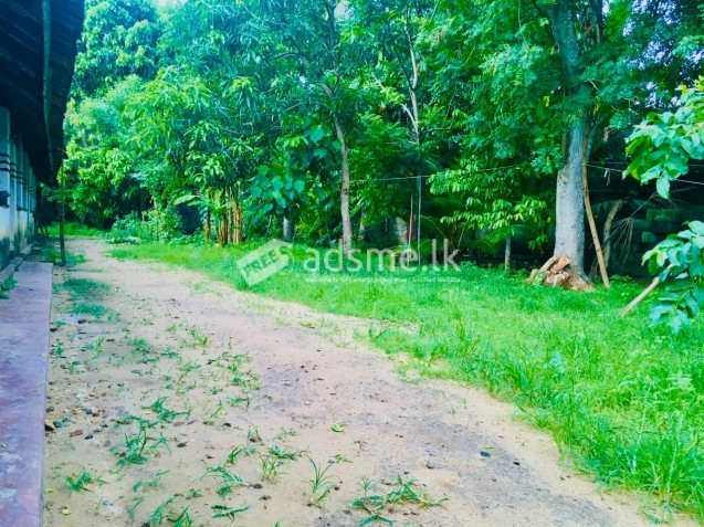 Land for sale weligama