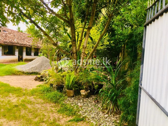 Land for sale weligama