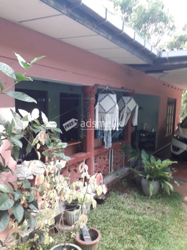 Land for sale with house nochchiyagama