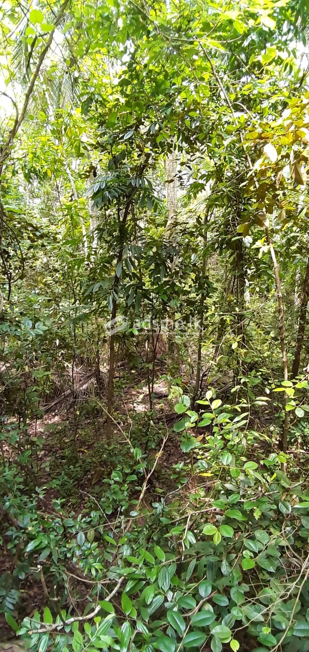 Land for sale in mirigama