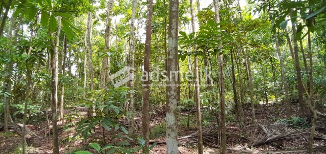 Land for sale in mirigama