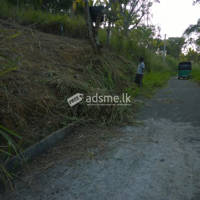 Land for sale in Pilimatalawa Prime Royal Living.