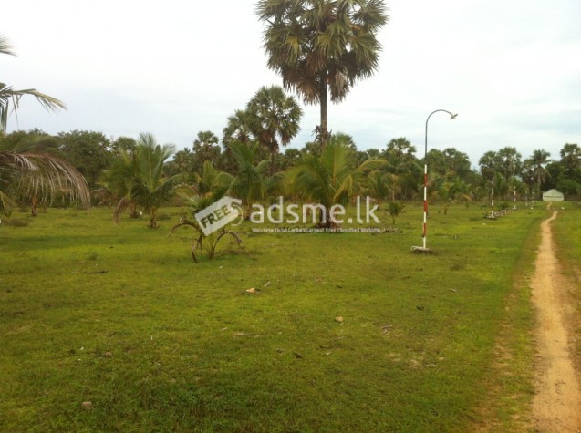 Land for sale in Srilanka