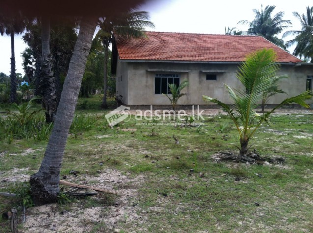 Land for sale in Srilanka