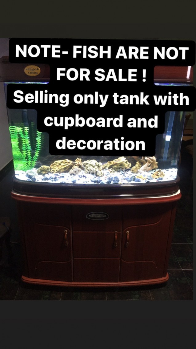 4ft imported curved tank with cupboard (mint condition)