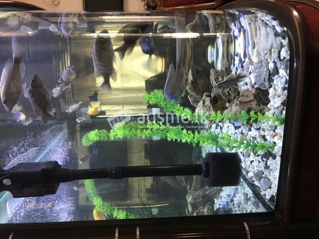 4ft imported curved tank with cupboard (mint condition)
