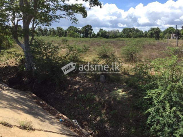 Land for sale at Puttalam - Mannar Main Road