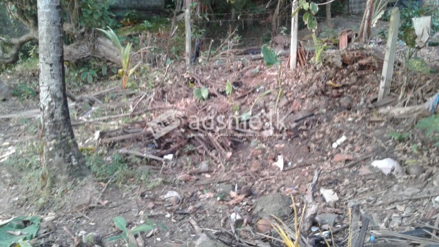Residential land for Sale - Beruwala