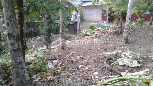 Residential land for Sale - Beruwala