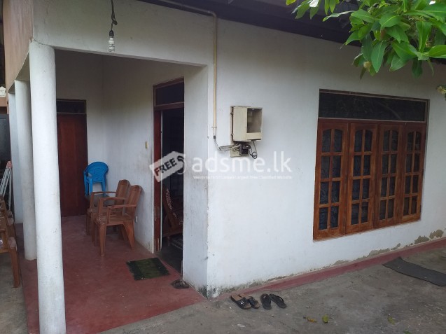 HOUSE FOR SALE IN DALUPOTHA - NEGOMBO